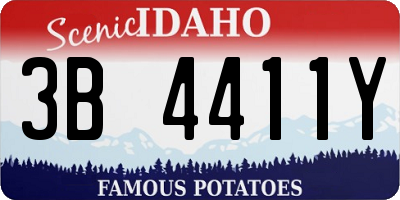 ID license plate 3B4411Y
