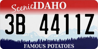 ID license plate 3B4411Z