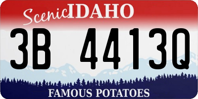 ID license plate 3B4413Q