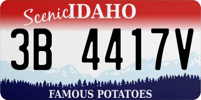 ID license plate 3B4417V