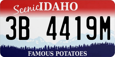 ID license plate 3B4419M