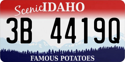 ID license plate 3B4419Q