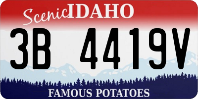 ID license plate 3B4419V