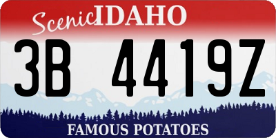 ID license plate 3B4419Z