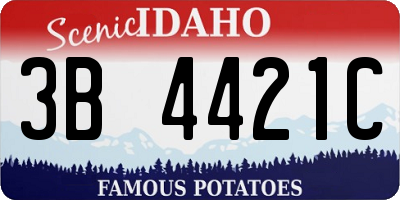ID license plate 3B4421C