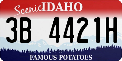 ID license plate 3B4421H