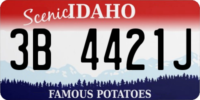 ID license plate 3B4421J