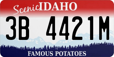 ID license plate 3B4421M