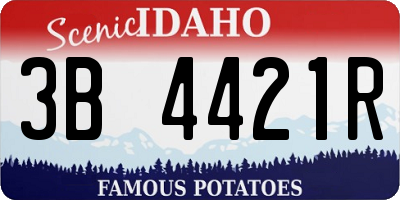 ID license plate 3B4421R