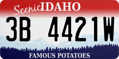 ID license plate 3B4421W