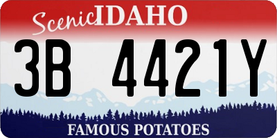 ID license plate 3B4421Y