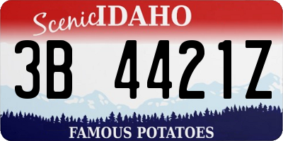ID license plate 3B4421Z
