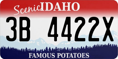 ID license plate 3B4422X