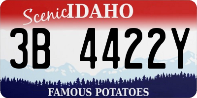 ID license plate 3B4422Y