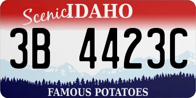 ID license plate 3B4423C