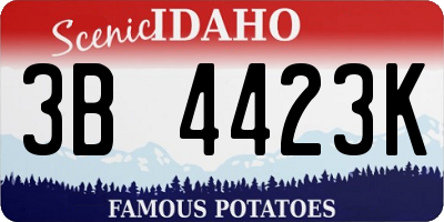 ID license plate 3B4423K