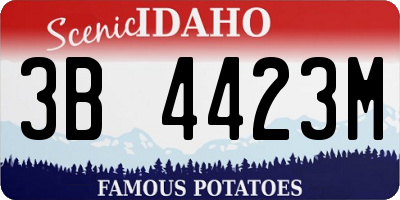 ID license plate 3B4423M