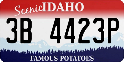 ID license plate 3B4423P