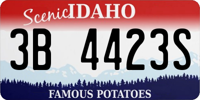 ID license plate 3B4423S