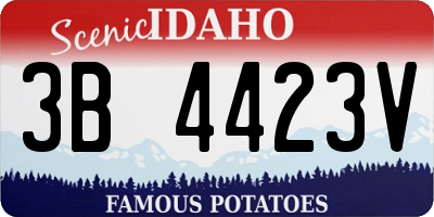 ID license plate 3B4423V