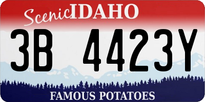 ID license plate 3B4423Y