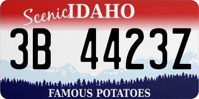 ID license plate 3B4423Z