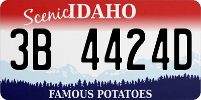 ID license plate 3B4424D