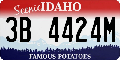ID license plate 3B4424M