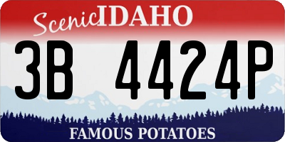 ID license plate 3B4424P