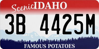 ID license plate 3B4425M