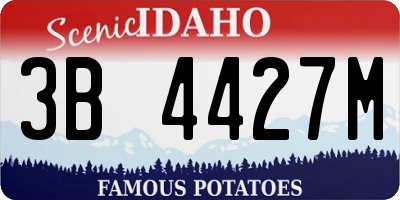 ID license plate 3B4427M