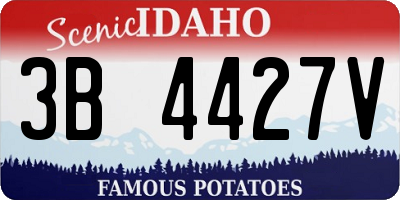 ID license plate 3B4427V