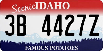 ID license plate 3B4427Z