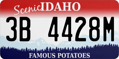 ID license plate 3B4428M