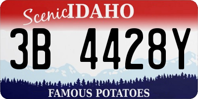 ID license plate 3B4428Y