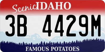 ID license plate 3B4429M