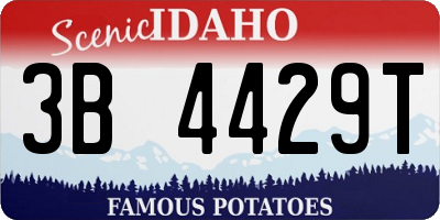 ID license plate 3B4429T