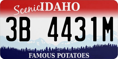 ID license plate 3B4431M