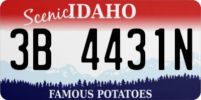 ID license plate 3B4431N