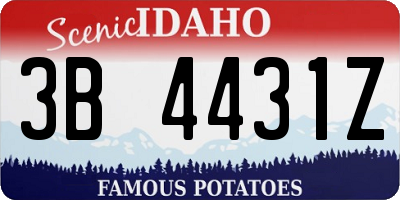 ID license plate 3B4431Z