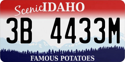 ID license plate 3B4433M