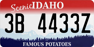 ID license plate 3B4433Z