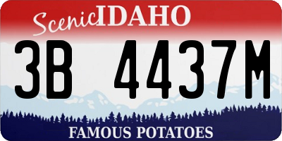 ID license plate 3B4437M