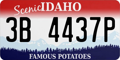 ID license plate 3B4437P