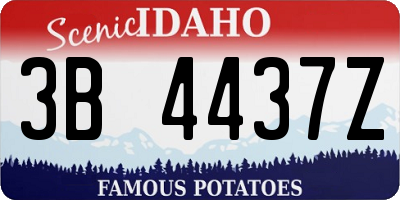 ID license plate 3B4437Z