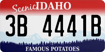 ID license plate 3B4441B