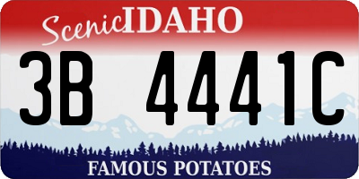 ID license plate 3B4441C