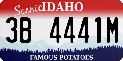 ID license plate 3B4441M