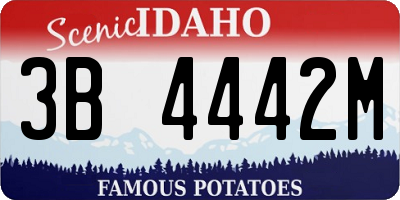 ID license plate 3B4442M