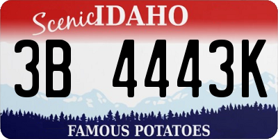 ID license plate 3B4443K